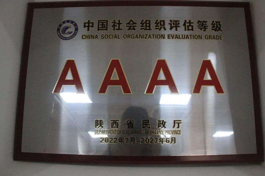 中国社会组织评估等级