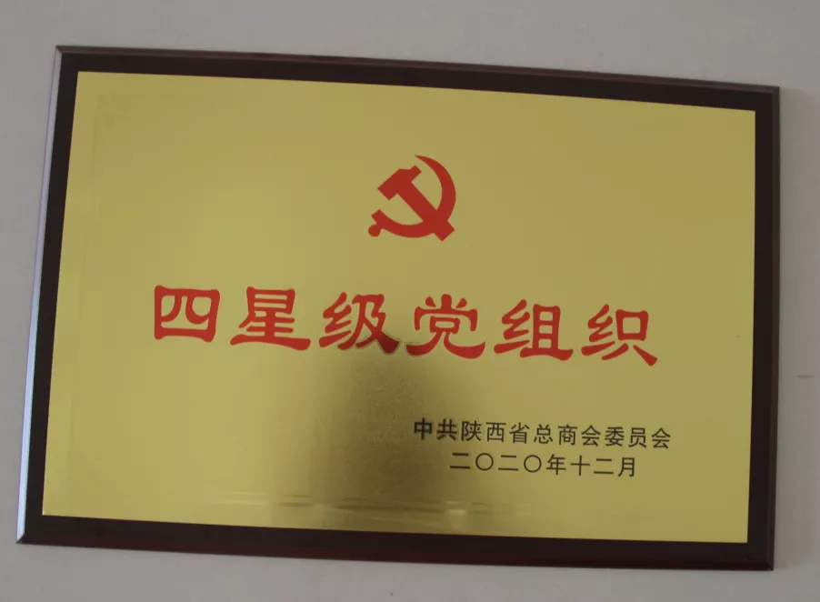 四星级党组织