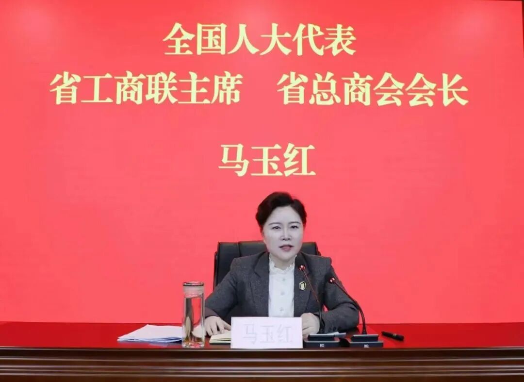 陕西省湖南商会参加省工商联召开传达学习全国两会精神会议